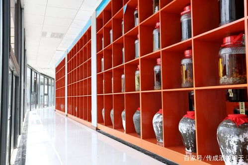 傳成酒械 來告訴你發(fā)酵時(shí)需要注意哪些